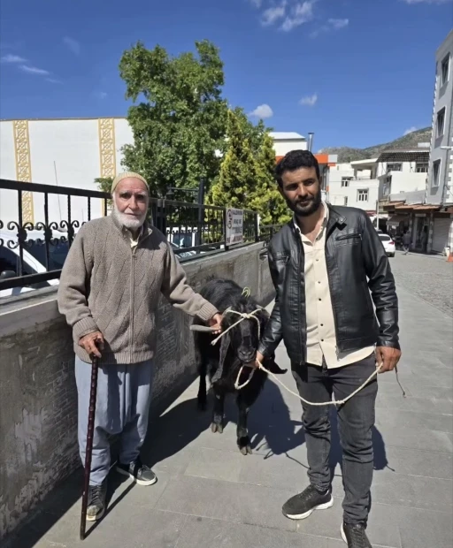 70 kiloluk dev ke&ccedil;i 36 bin liraya satıldı
