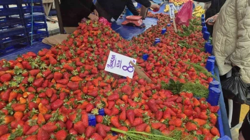 80 TL&rsquo;lik &ccedil;ileğe yoğun ilgi