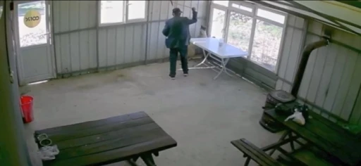81 yaşındaki şahıs köy kahvesinde bakılan köpeğe dehşeti yaşattı
