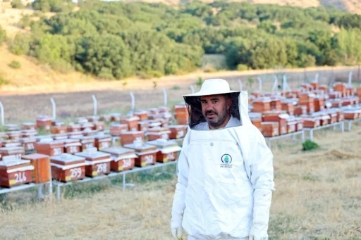 Abadan Bal Ormanı&rsquo;nda yeni sezon bal hasadı
