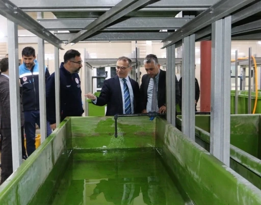 Abant G&ouml;l&uuml;&rsquo;ne 100 bin endemik Abant alası bırakıldı
