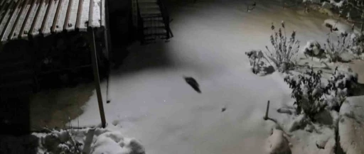 A&ccedil; kalan kaya sansarı evlerin dibine kadar indi
