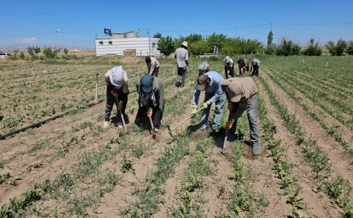 Acil tıp uzmanından hayat kurtaran uyarılar
