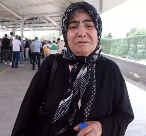 Acılı anne, kızından geriye kalan kedilere kavuştu
