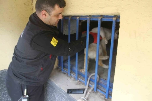 A&ccedil;lıktan bitkin d&uuml;şen kedi itfaiye ekiplerince kurtarıldı
