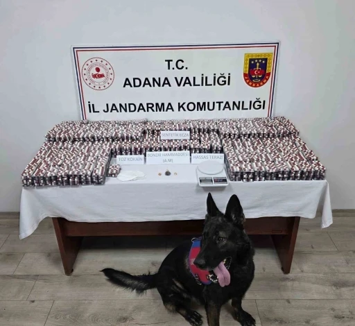 Adana’da 19 bin 167 adet uyuşturucu hap ele geçirildi: 1 tutuklama
