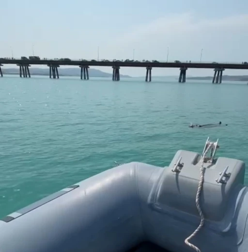 Adana’da baraj gölüne düşen kadını gemi adamlar kurtardı
