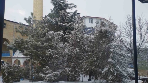 Adana&rsquo;da kar s&uuml;rprizi
