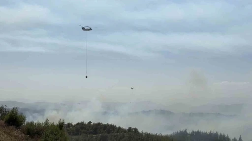 Adana’da orman yangını kontrol altında: 6 gözaltı
