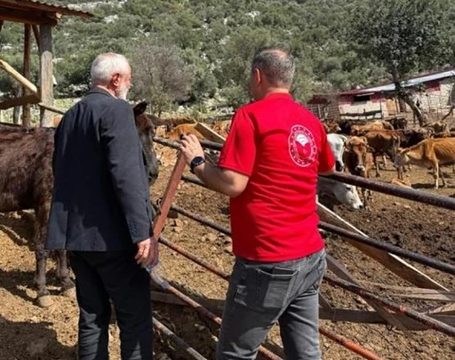 Adana&rsquo;da "G&uuml;ney Sarısı" bereketi: Yerli ırk &uuml;reticinin y&uuml;z&uuml;n&uuml; g&uuml;ld&uuml;r&uuml;yor
