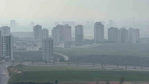 Adana’da sis etkili oldu
