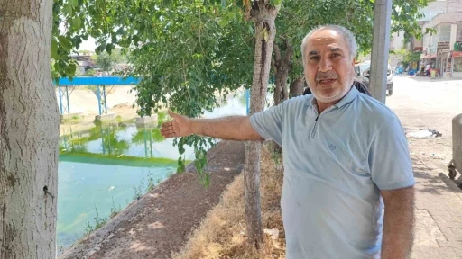 Adana&rsquo;da sivrisinek istilasına vatandaş tepkisi: "&Ccedil;ocuklarımız yara i&ccedil;inde kaldı"
