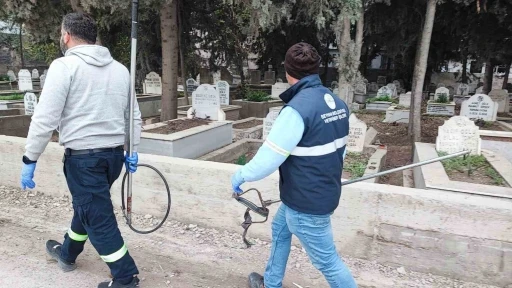 Adana&rsquo;da sokak k&ouml;peği endişesi
