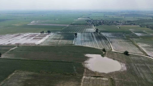 Adana&rsquo;da tarım arazileri sular altında kaldı
