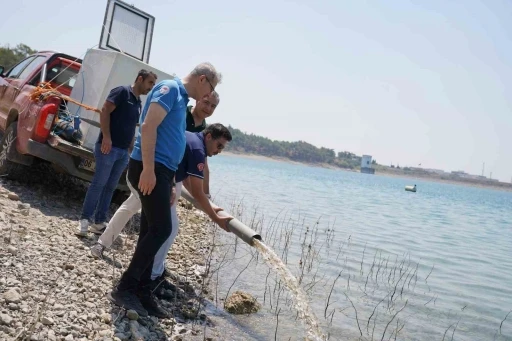 Adana’da yetişen 10 milyon 500 bin yavru sazan 12 ilde 129 göl ve göletlere bırakıldı
