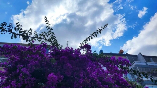 Adana iki g&uuml;n yağmurlu, hafta sonu sıcaklık artacak
