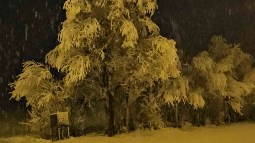 Adilcevaz&rsquo;da kar yağışı beraberinde g&uuml;zel g&ouml;r&uuml;nt&uuml;ler getirdi

