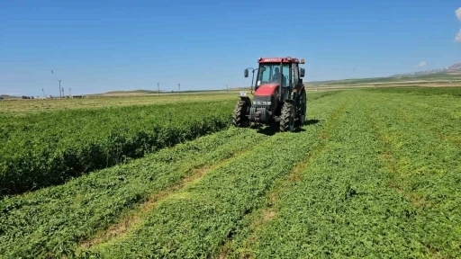 Adilcevaz&rsquo;da ot bi&ccedil;me sezonu başladı

