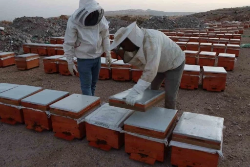 Adıyaman&rsquo;da 2026 yılı bal fiyatları a&ccedil;ıklandı
