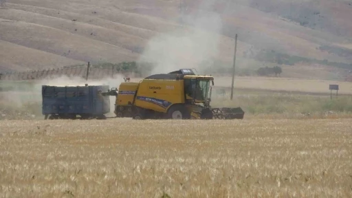 Adıyaman’da hububat hasadı arpa ile başladı
