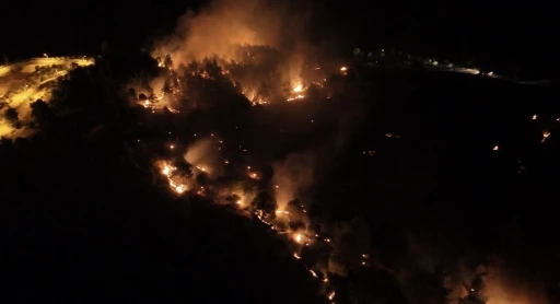 Adıyaman&rsquo;da orman yangını
