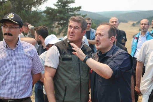 AFAD: &quot;Yangınlara karşı mücadele kapsamında 4 bin 231 personel, 45 hava aracı ve bin 236 kara aracı görev yapmaktadır&quot;
