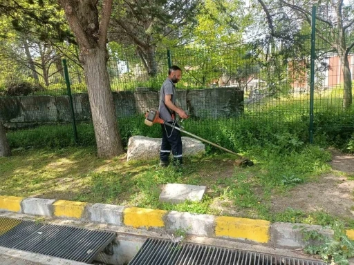 Afrodisias Antik Kenti’nde ilaçlama çalışması başlatıldı
