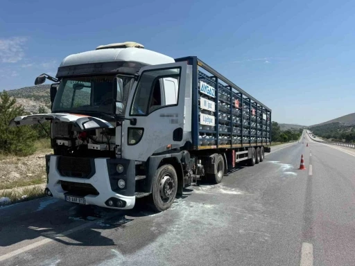 Afyonkarahisar&rsquo;da Aygaz marka t&uuml;p y&uuml;kl&uuml; tırın motorunda yangın

