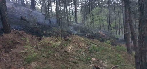 Afyonkarahisar’da orman yangını
