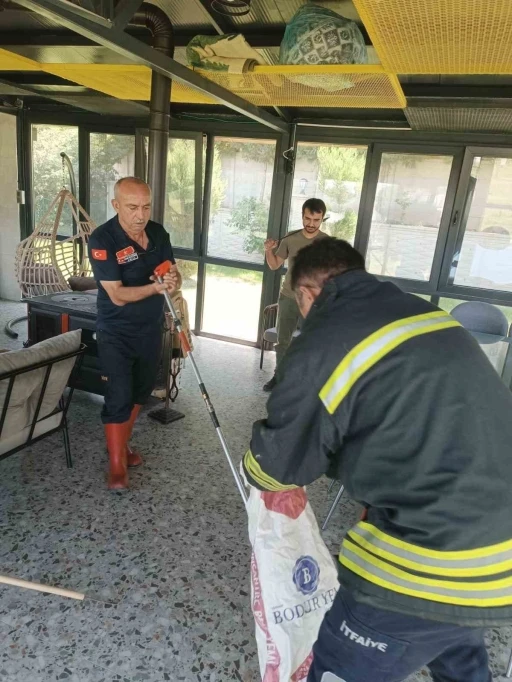 Afyonkarahisar’da yılan paniği
