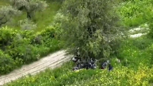 Ağa&ccedil; altında gizlenmeye &ccedil;alışan g&ouml;&ccedil;menler dronla yakalandı
