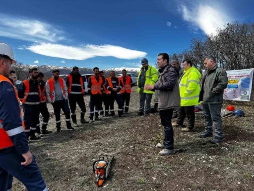 Ağaç budama çalışmaları güvenlik ve süreklilik için özenle yürütülüyor
