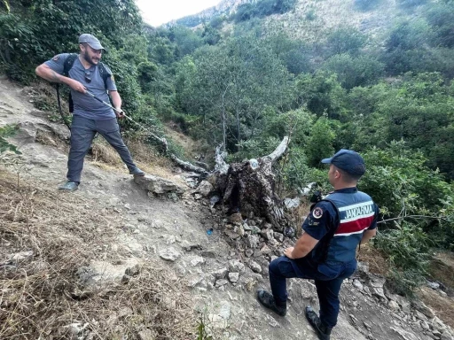 Ağa&ccedil; yangını korkuttu
