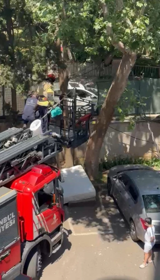 Ağa&ccedil;ta mahsur kalan kedi itfaiye tarafından kurtarıldı
