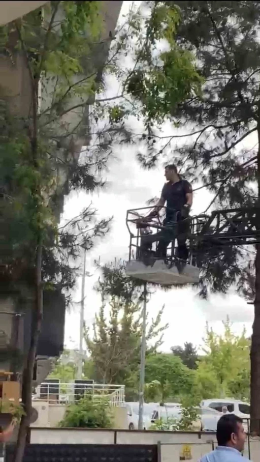 Ağa&ccedil;ta mahsur kalan kediyi itfaiye kurtardı
