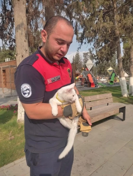 Ağaçta mahsur kalan kediyi itfaiye kurtardı

