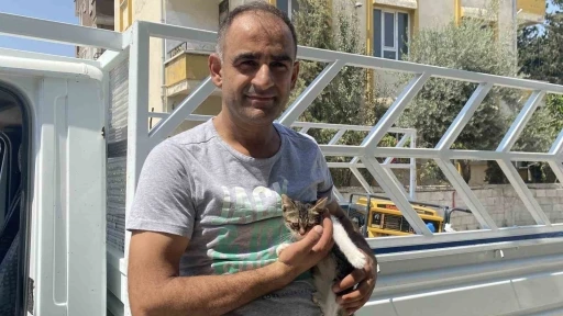 Ağaçta mahsur kalan yavru kedi vatandaşın dikkatiyle kurtarıldı
