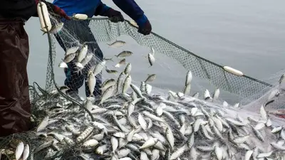 Muğla’nın ihracatı Eylül’de yükselişini sürdürdü