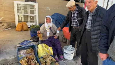 Çivril’in meşhur Koçak üzümü tezgâhlarda