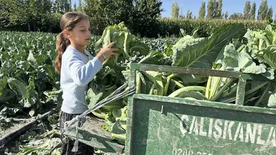 Burdur’da 9 yaşındaki Medine’nin bir eli tarlada, aklı ise geleceğinde