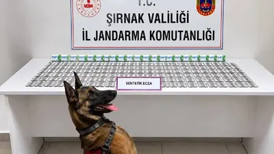 Şırnak’ta jandarmadan uyuşturucu ve aranan şahıslara operasyon: 12 tutuklama