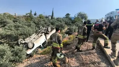 Zeytinliğe uçan kamyonetin sürücüsü yaralandı