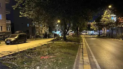 Eyüpsultan’da ağaç kesimi iddiaları sonrası vatandaşlardan İBB’ye tepki