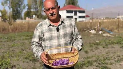 Esnaflığı bıraktı, tarlada serveti buldu: Kilosu 1 milyon lirayı bulan "kırmızı altın" hayatını değiştirdi