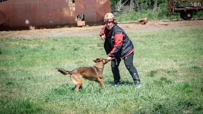 Muğla’nın arama kurtarma köpekleri Tayga ve Foxy görev yeterlilik sınavını geçti