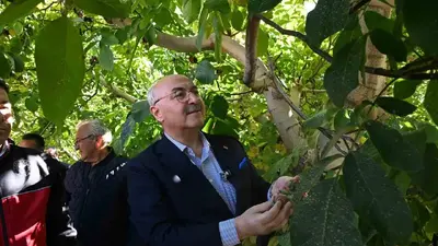 Çameli ceviz üretiminde Türkiye’de ilk sırayı hedefliyor