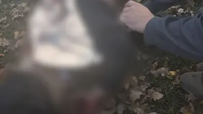 Rusya Ukrayna’da parkı vurdu: 3’ü çocuk 6 ölü