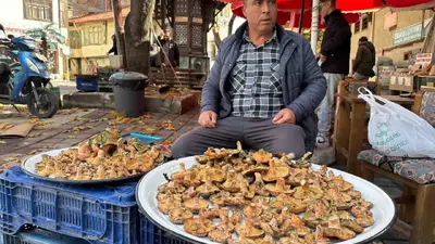 Tavşanlı’da melki mantarı hareketliliği başladı