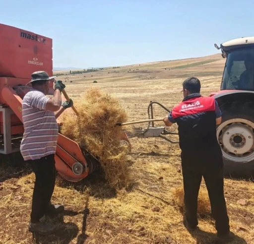 Ağın&rsquo;da mercimek tohumluklarında hasat kontrolleri
