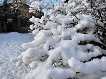 Ağrı’da 66 köy yolu kar nedeniyle ulaşıma kapandı

